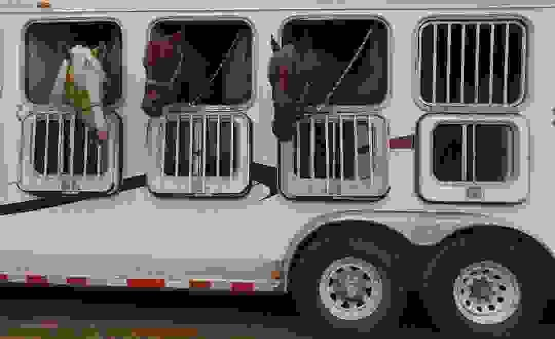 broken image