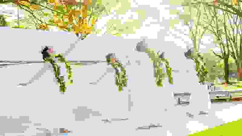 broken image