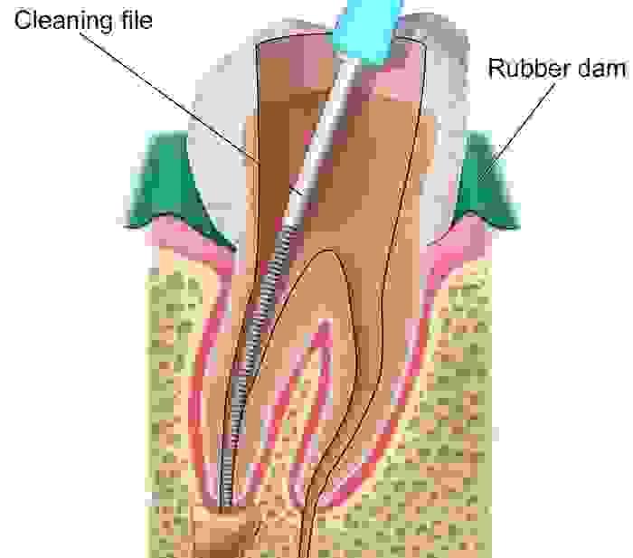 Section image