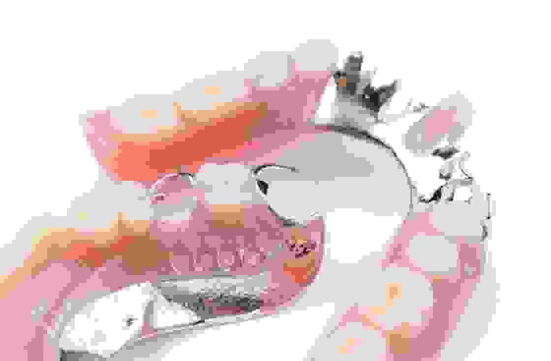 Section image