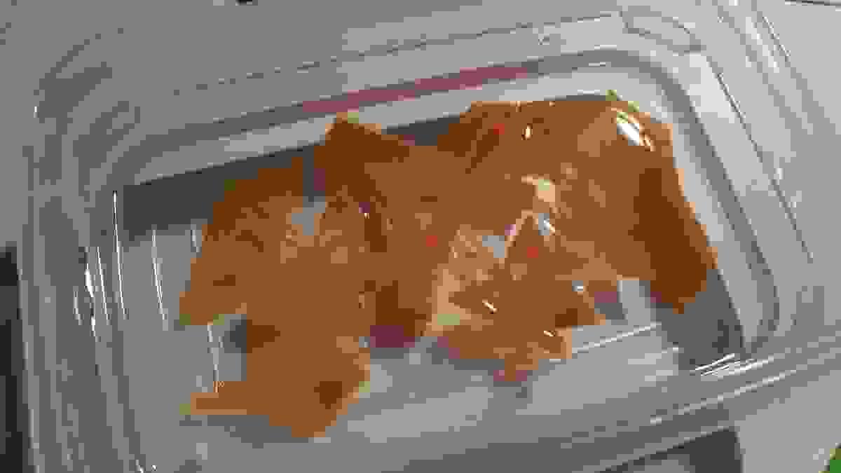 broken image