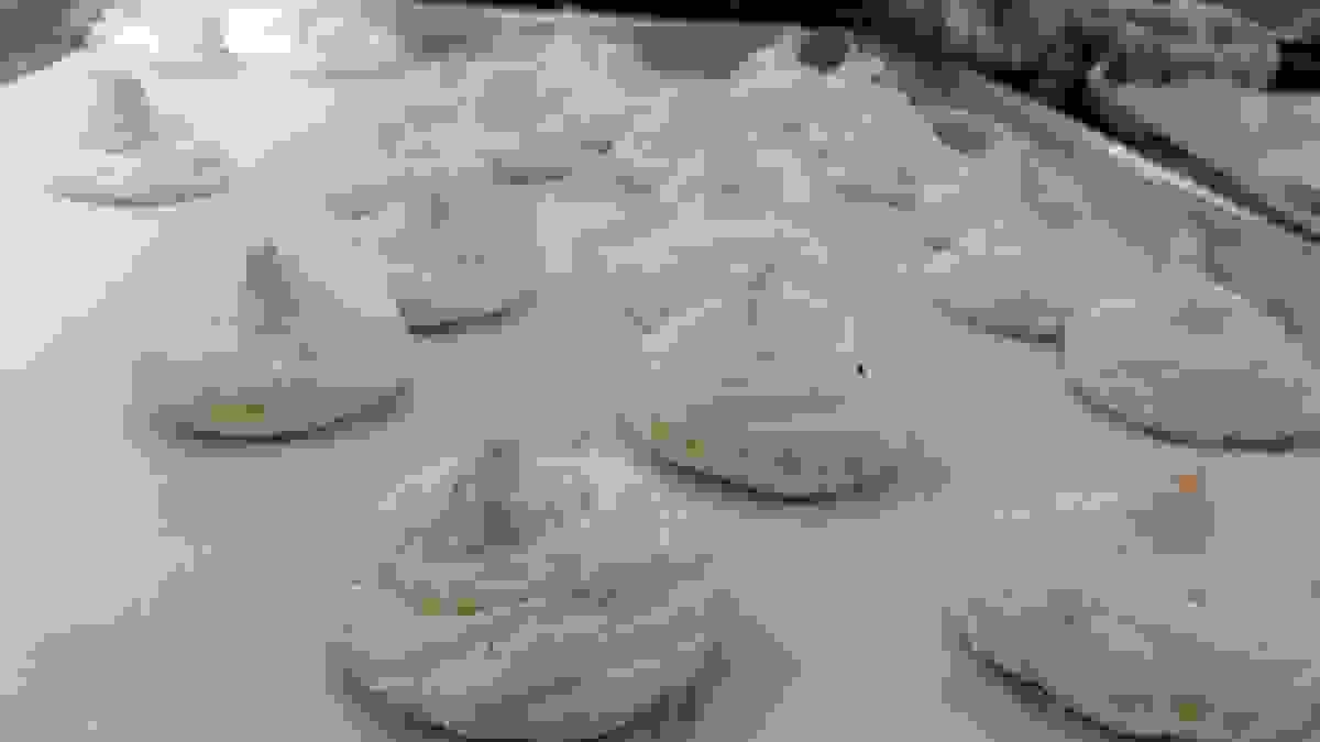 broken image
