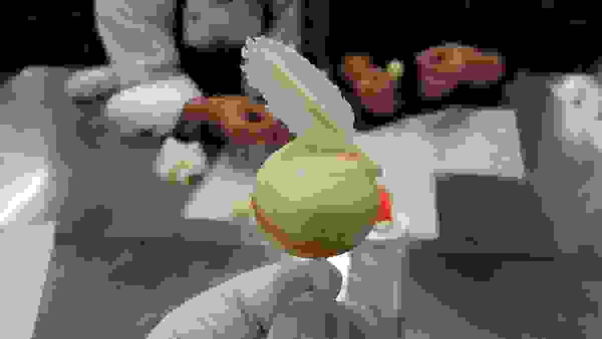 broken image