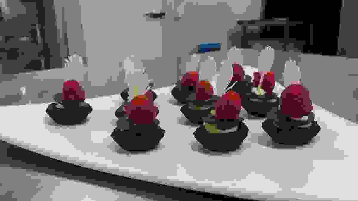 broken image