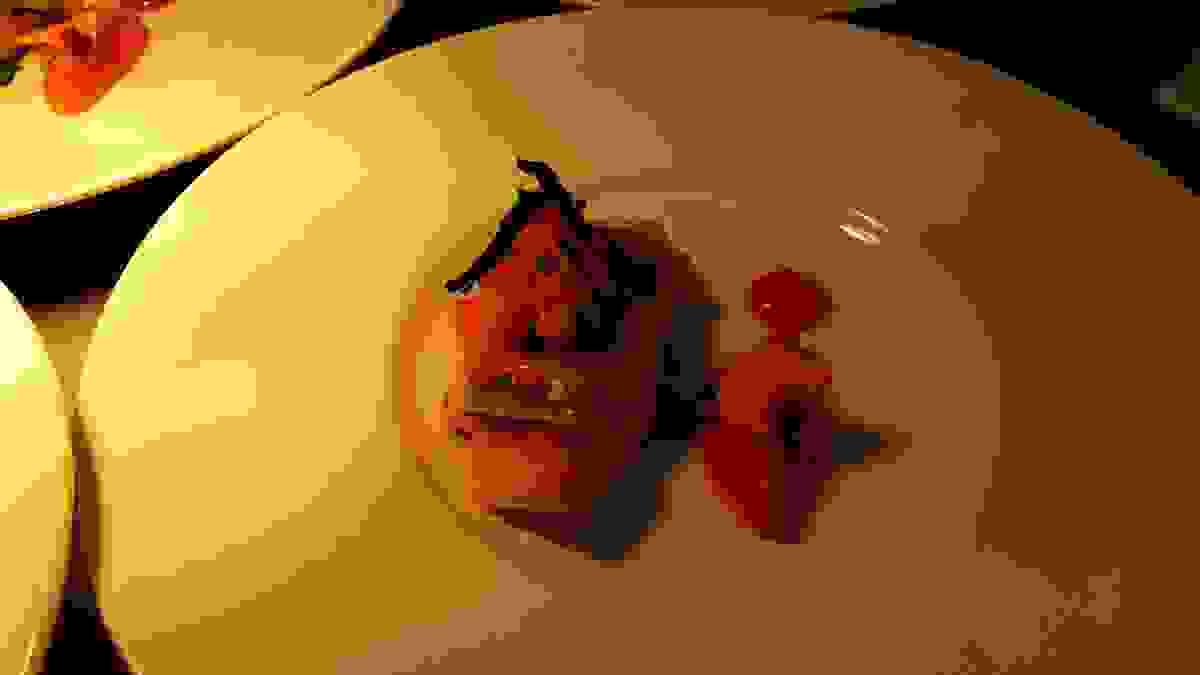 broken image