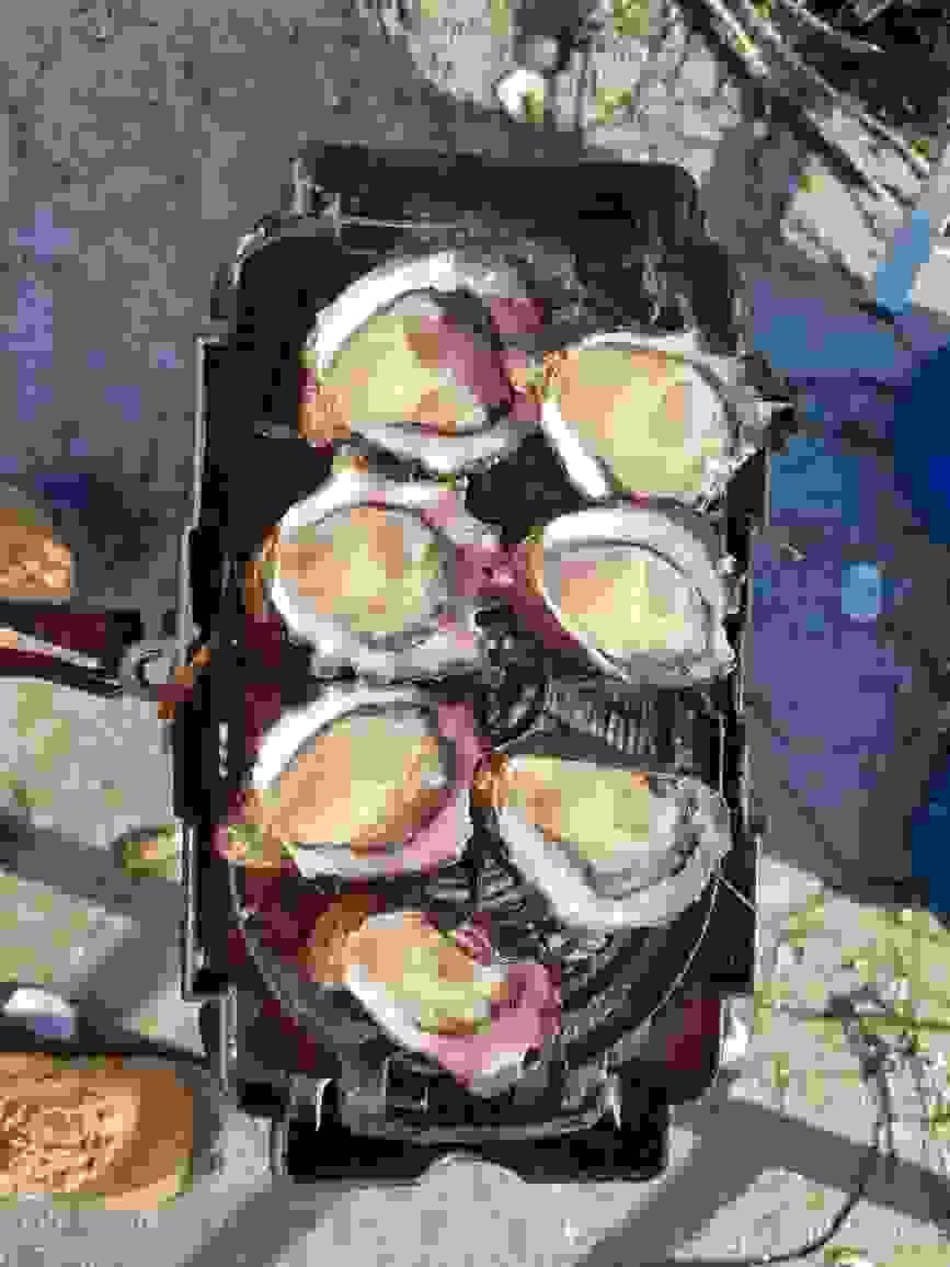 broken image