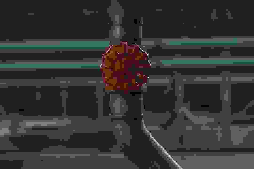broken image