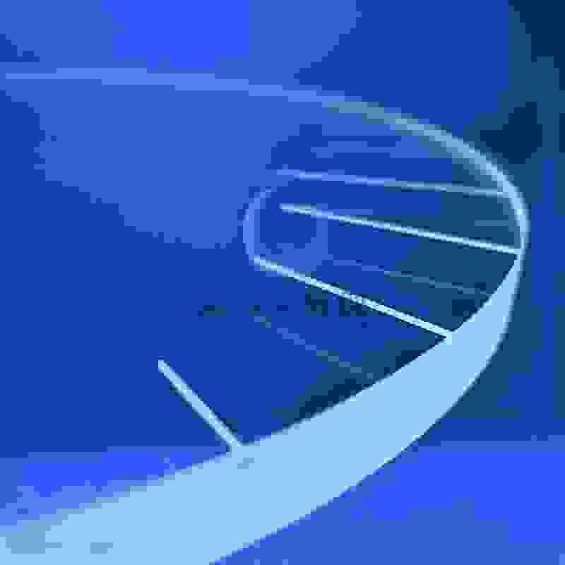broken image