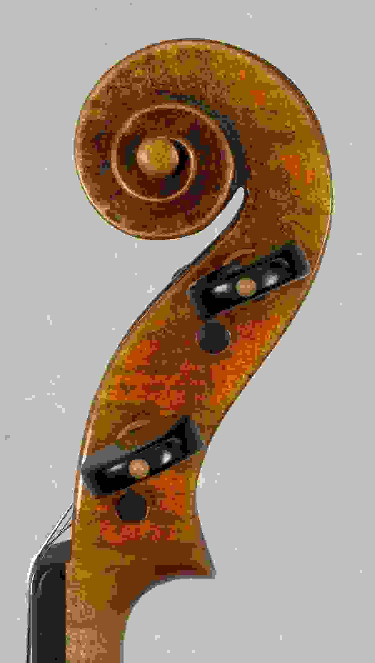 Section image