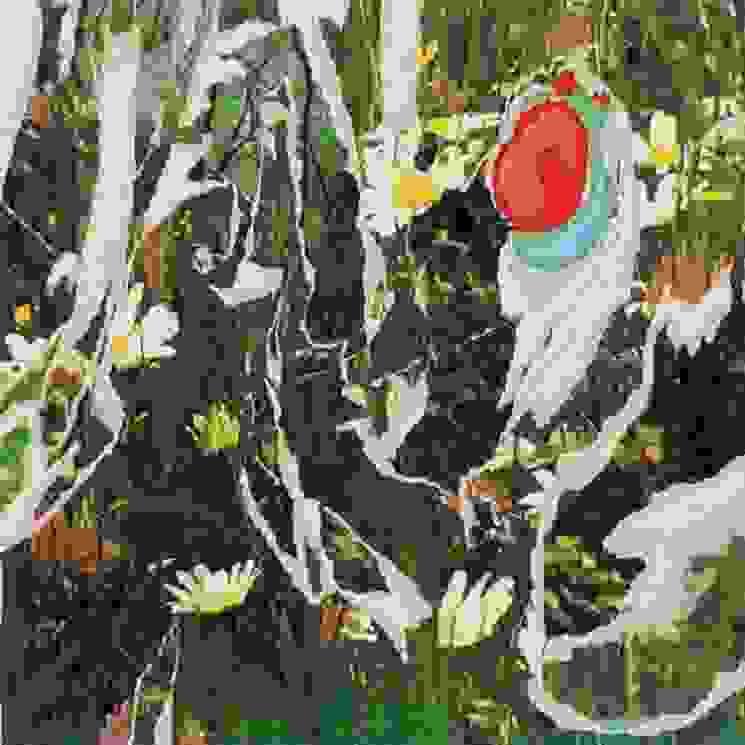 broken image