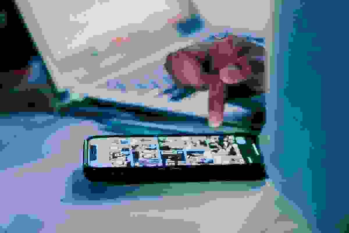 Section image