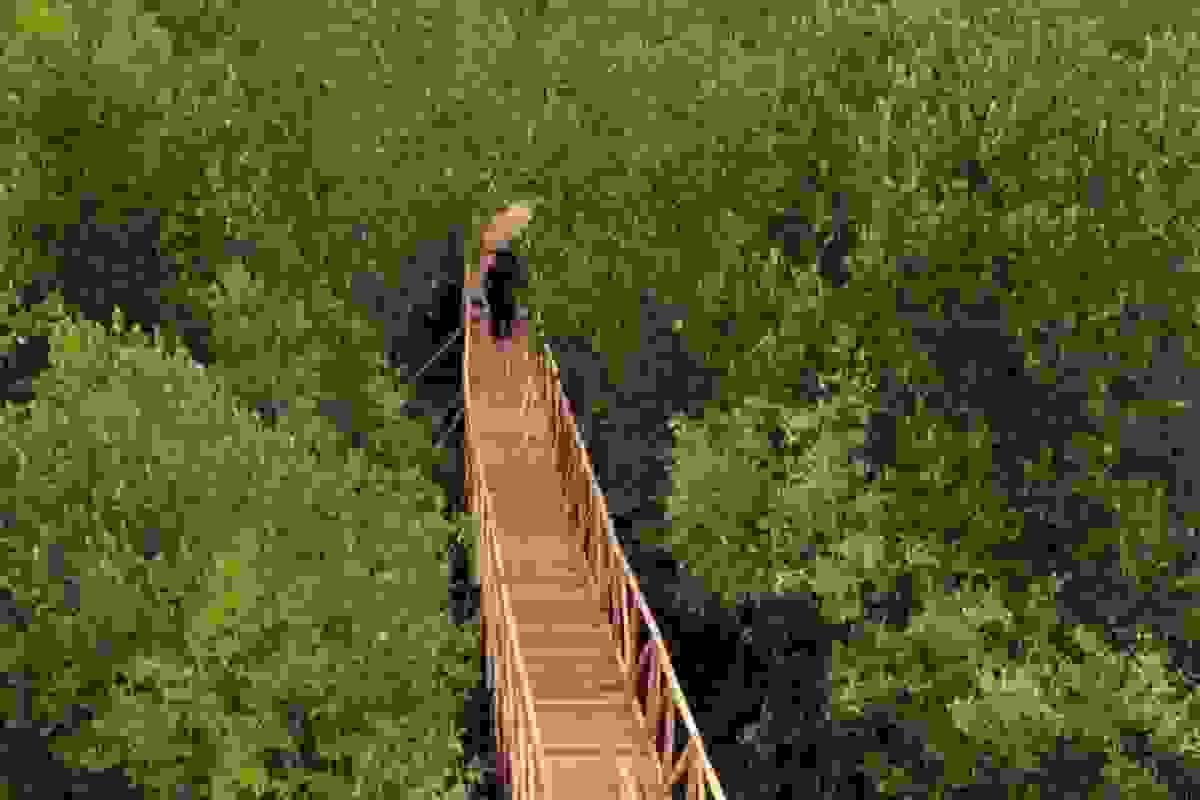 broken image