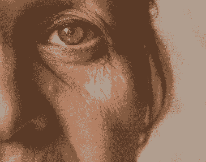 Older woman's hazel eye staring straight ahead Older woman's hazel eye staring straight ahead