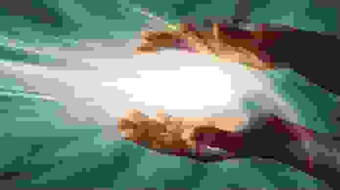 Section image