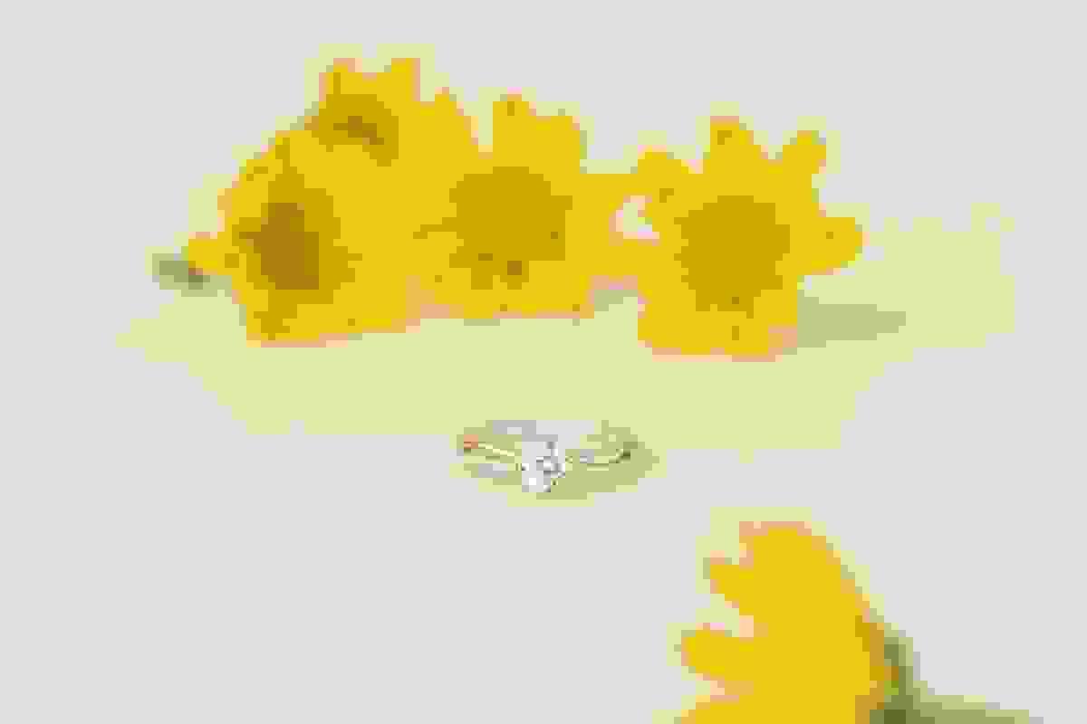 broken image
