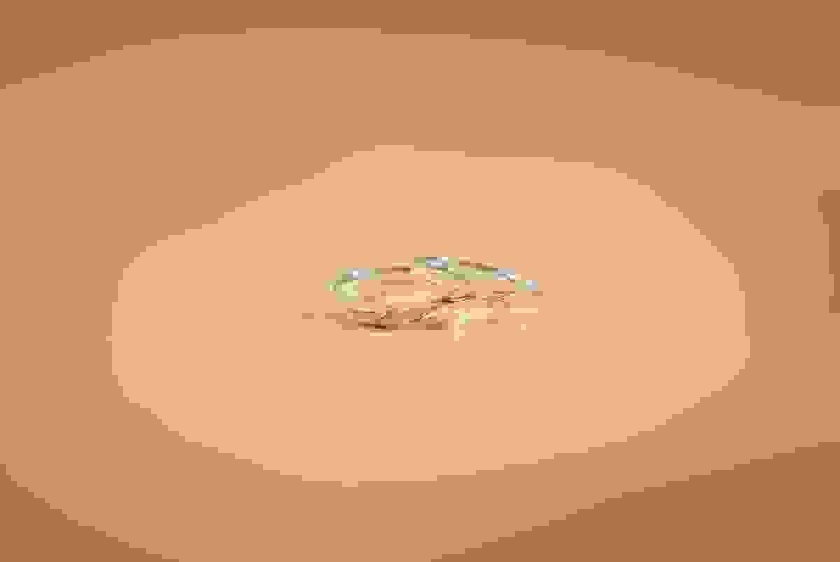 broken image