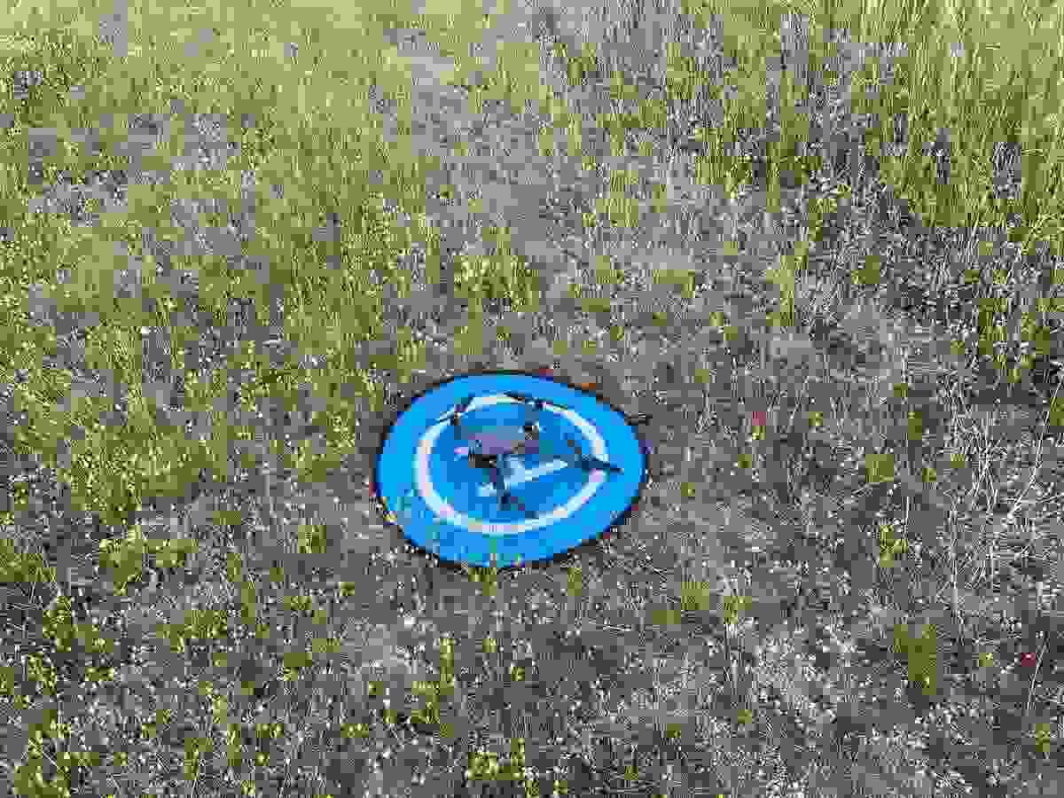 broken image