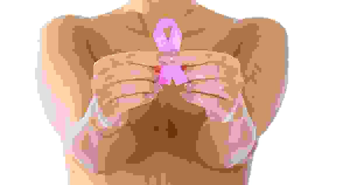 Section image