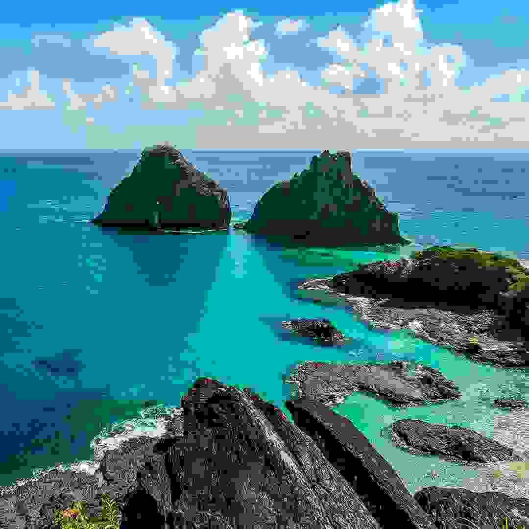 Section image