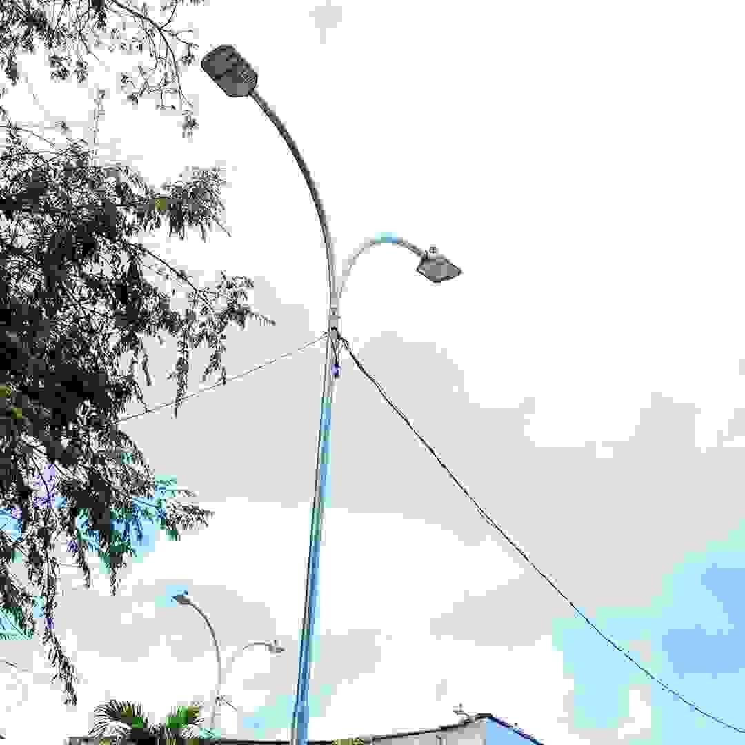 Section image