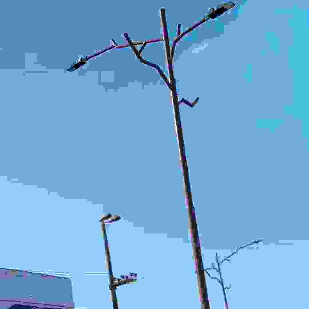 Section image