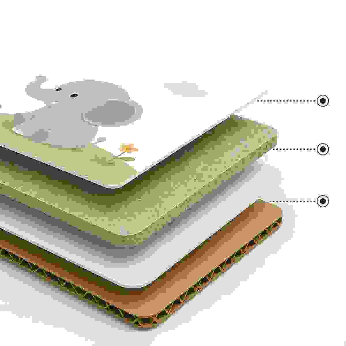 Section image