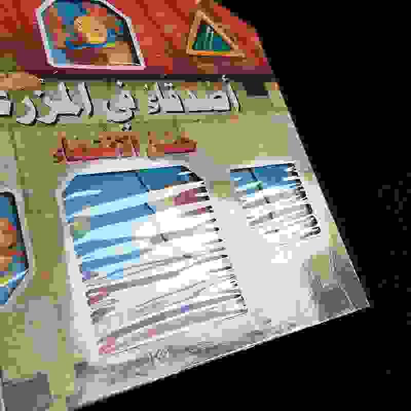 Section image