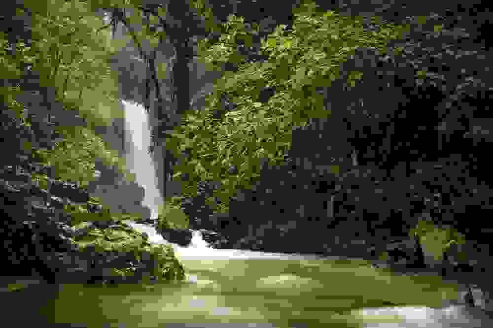 Section image