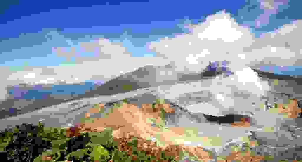 Section image