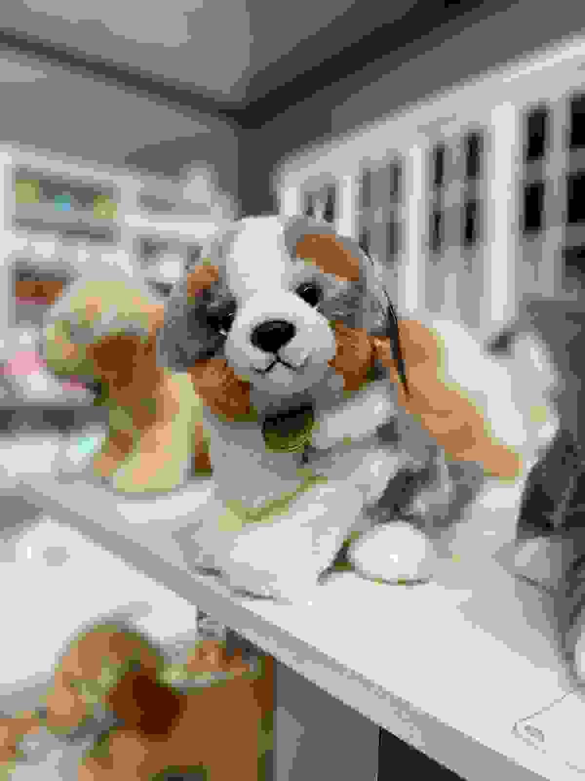 broken image