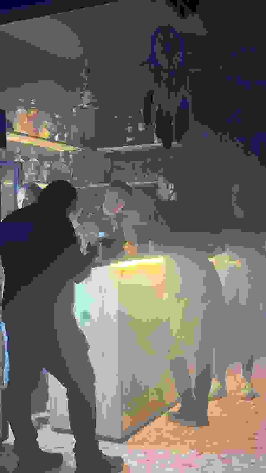 Section image