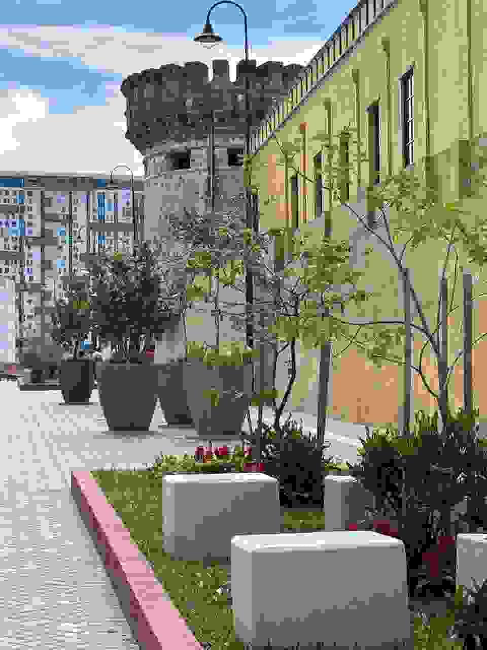 Section image