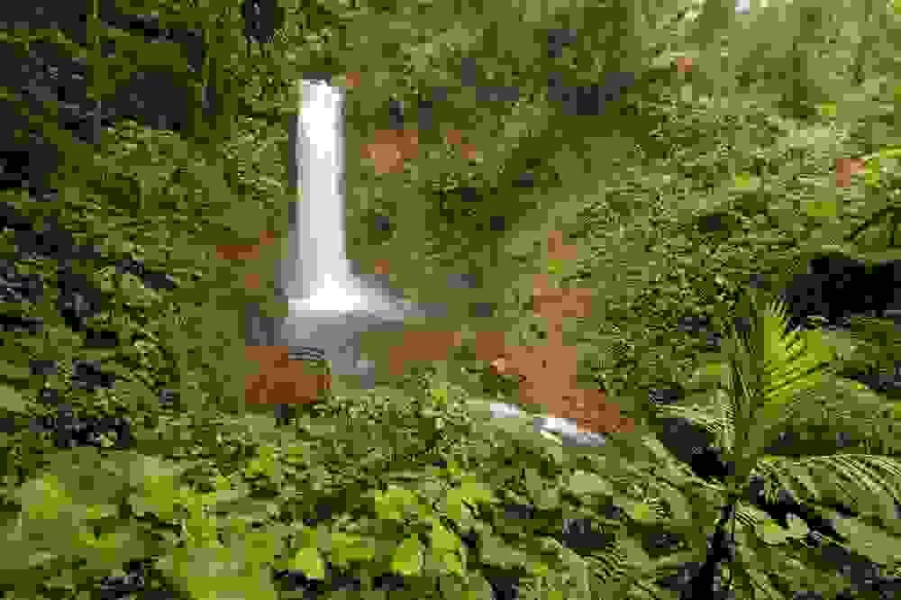 Section image