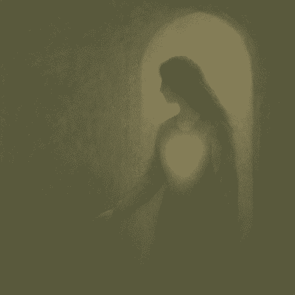 broken image
