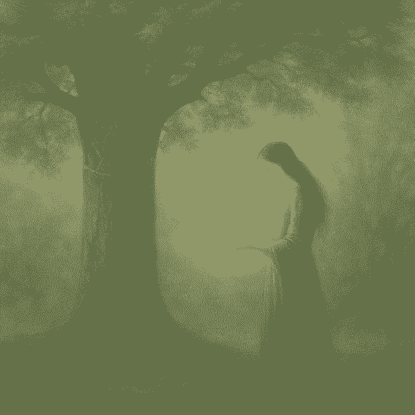 broken image