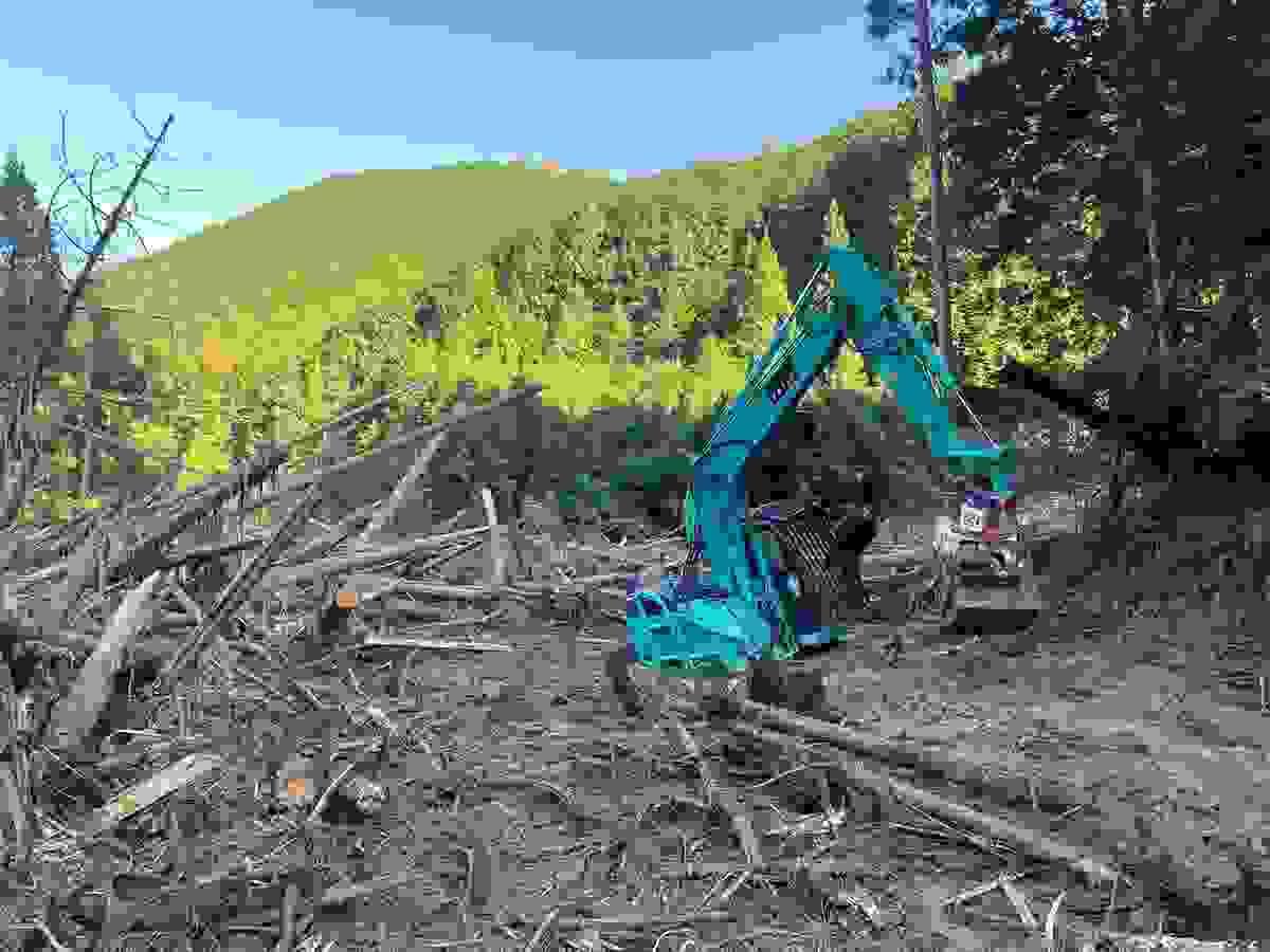 Section image