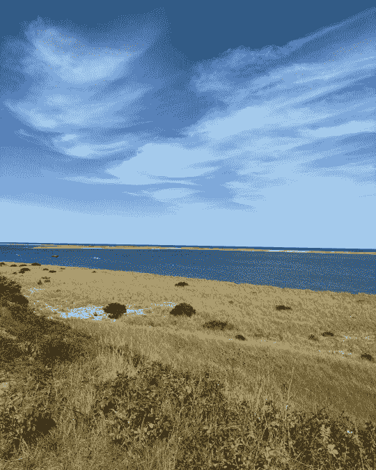 Section image