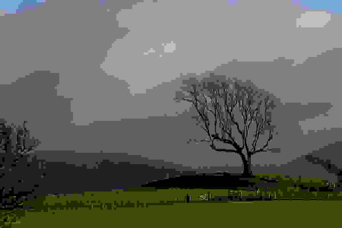 broken image
