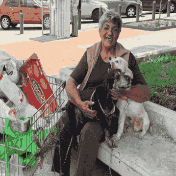 Street Dogs charity Mexico Street Dogs charity Mexico