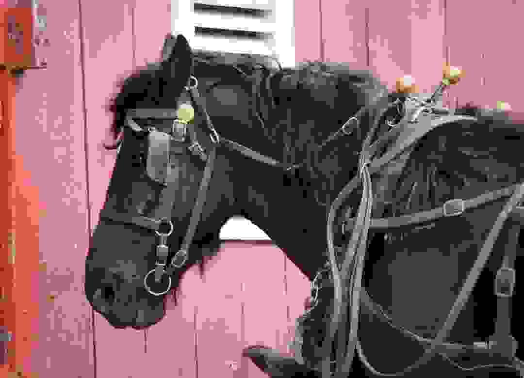 broken image