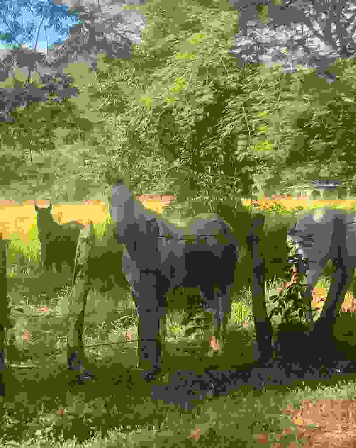 After a day of surfing, unwind in comfort. Our spacious living areas and cozy bedrooms are designed to provide you with the ultimate relaxation experience, ensuring your stay is both enjoyable and rejuvenating. Comfort & Relaxation What We Offer EcoVacation Rental Home near 3 amazing surf beaches. After a day of surfing, unwind in comfort. Our spacious living areas and cozy bedrooms are designed to provide you with the ultimate relaxation experience, ensuring your stay is both enjoyable and rejuvenating. Comfort & Relaxation What We Offer EcoVacation Rental Home near 3 amazing surf beaches.