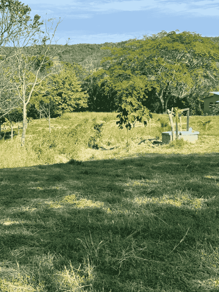 After a day of surfing, unwind in comfort. Our spacious living areas and cozy bedrooms are designed to provide you with the ultimate relaxation experience, ensuring your stay is both enjoyable and rejuvenating. Comfort & Relaxation What We Offer EcoVacation Rental Home near 3 amazing surf beaches. After a day of surfing, unwind in comfort. Our spacious living areas and cozy bedrooms are designed to provide you with the ultimate relaxation experience, ensuring your stay is both enjoyable and rejuvenating. Comfort & Relaxation What We Offer EcoVacation Rental Home near 3 amazing surf beaches.