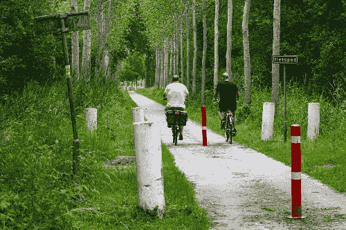 public-led or community-led bicycle sharing schemes can be the future