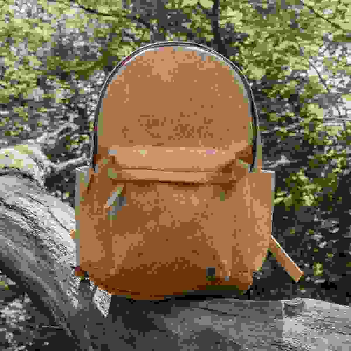 Section image