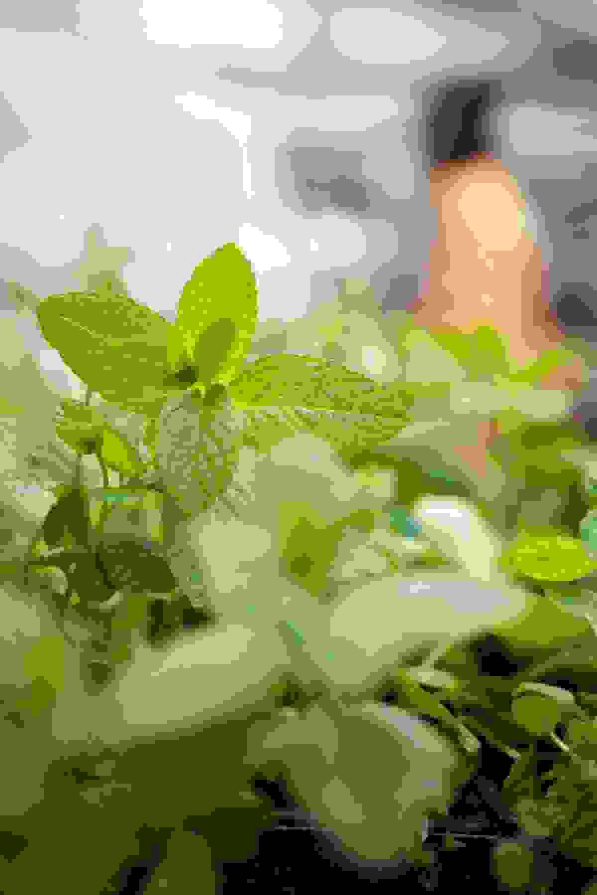 broken image