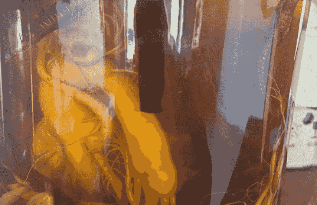 broken image