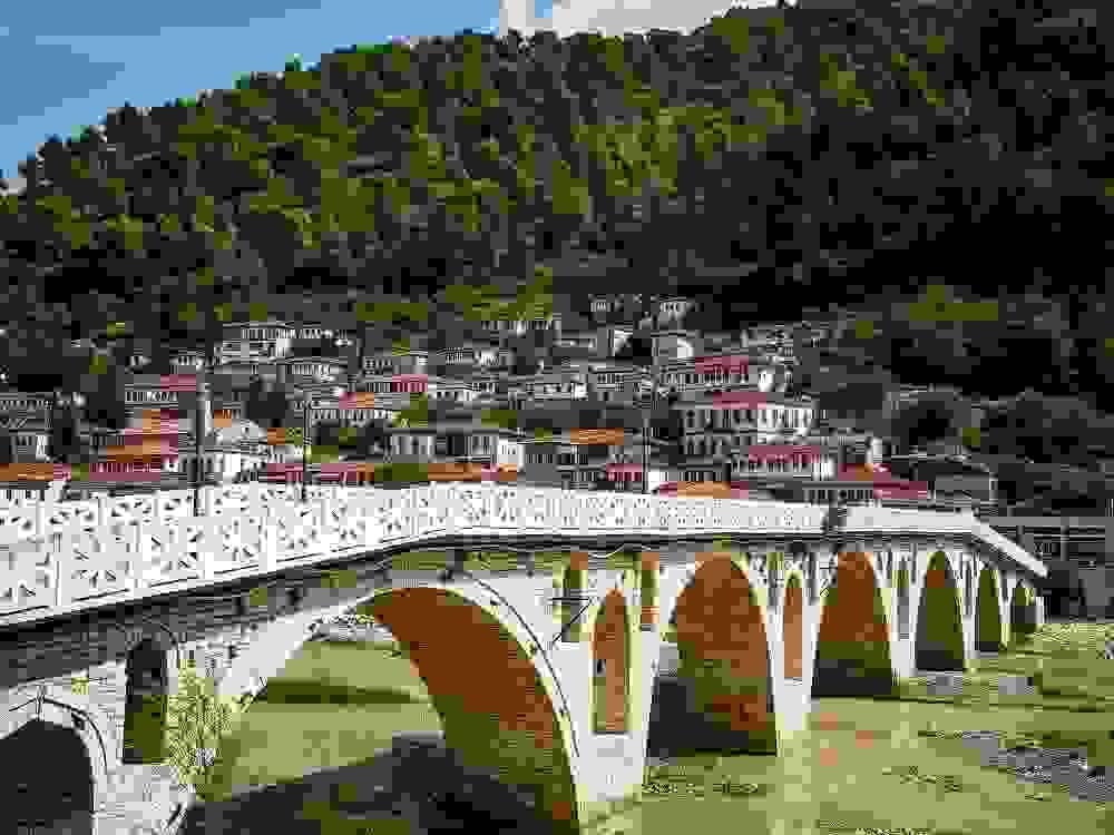 Section image
