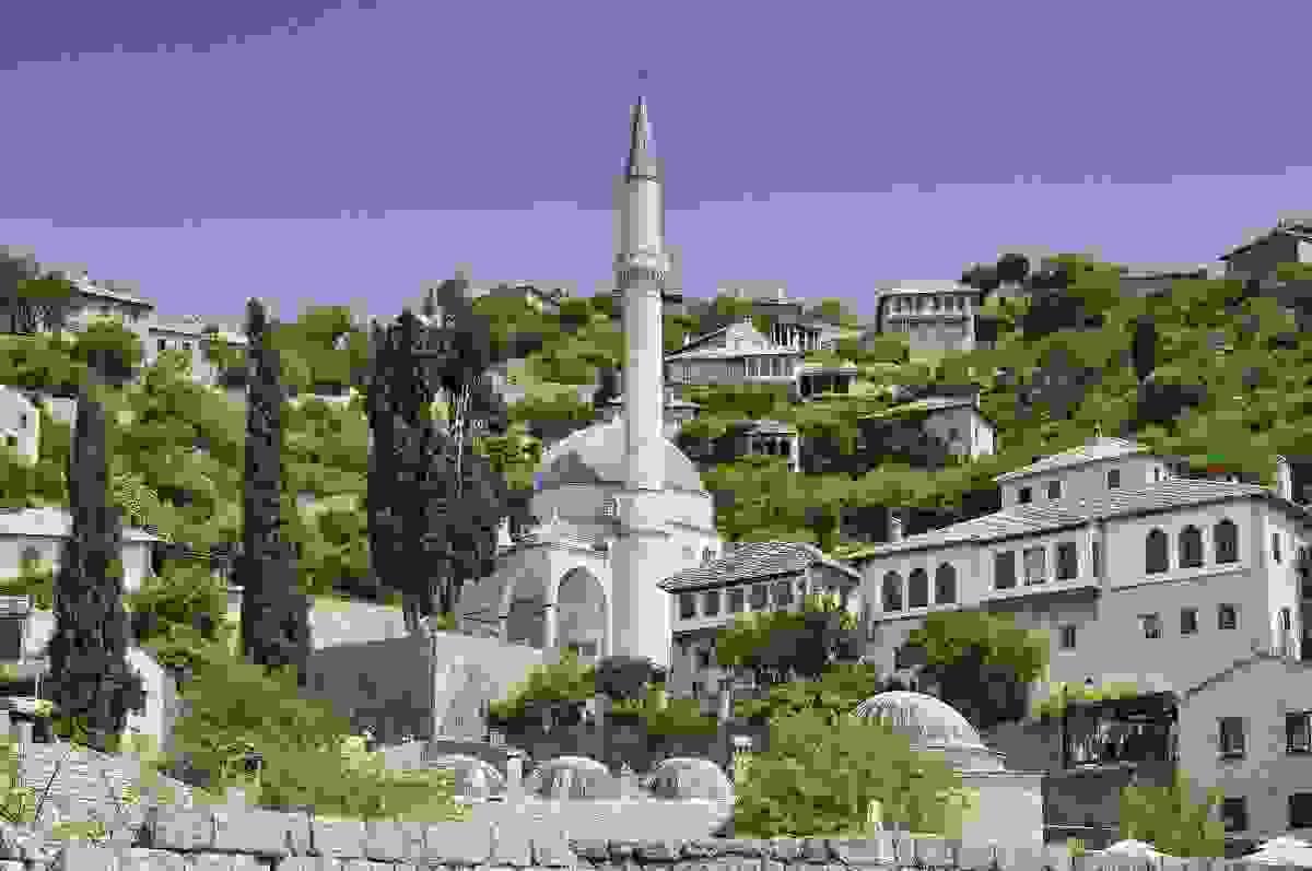 Section image
