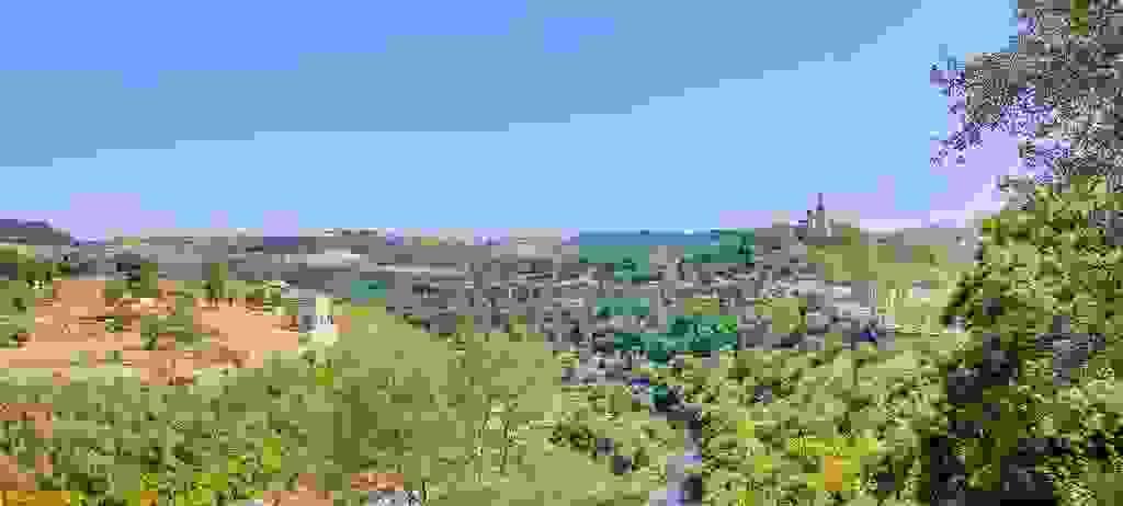 Section image