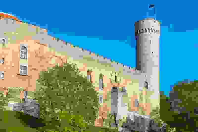 Section image